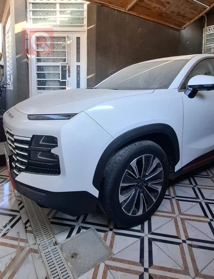 جيتور داشينج